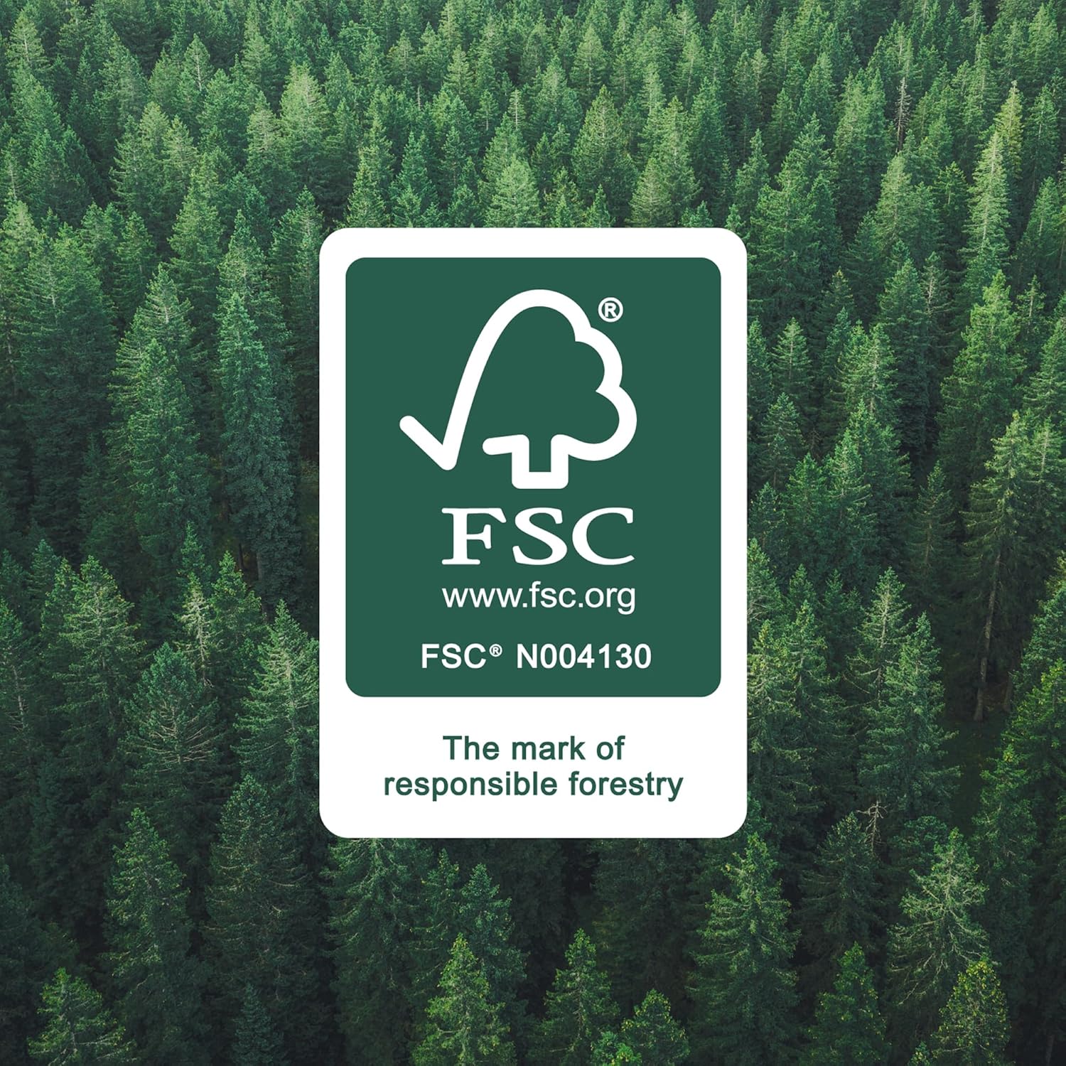 91BNUqDMZrL._AC_SL1500_